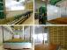 前立て鳥居アルミ縞鋼板張り/左右作業灯/左右アルミ縞鋼板工具箱/上部ゴム張り リア左右支柱脱着...